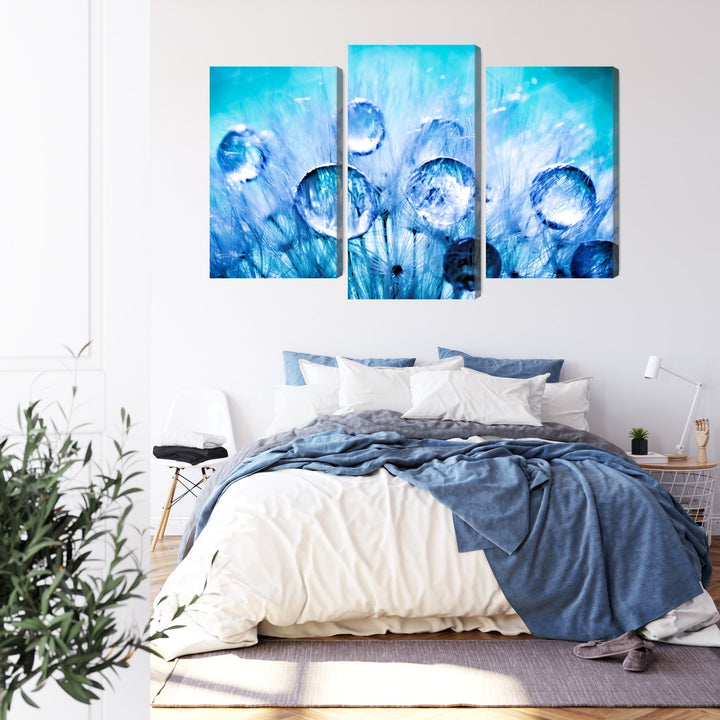 Canvas-taulut - Kastepisaroita voikukan siemenillä, makro, N-3704