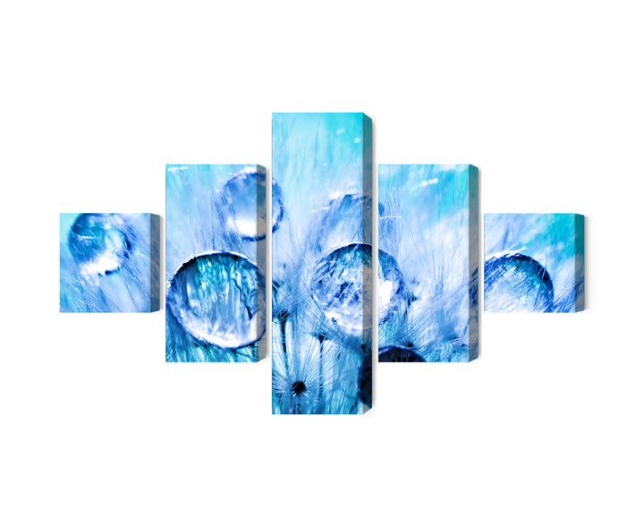 Canvas-taulut - Kastepisaroita voikukan siemenillä, makro, N-3707