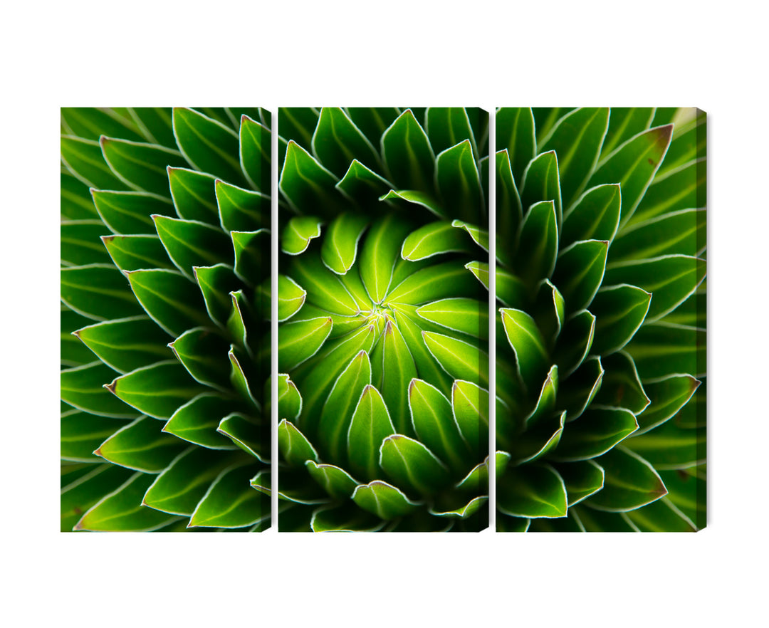 Canvas-taulut - Vihreä kasvi makromittakaavassa, N-3708