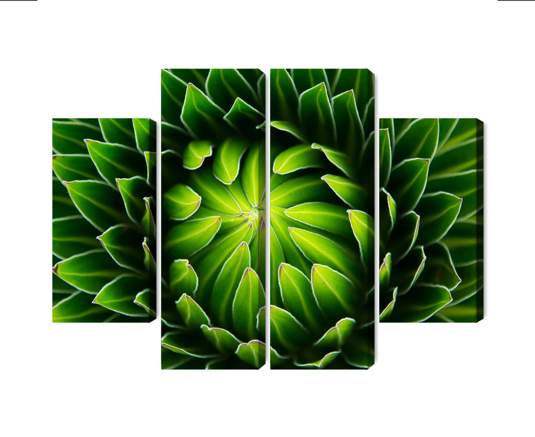 Canvas-taulut - Vihreä kasvi makromittakaavassa, N-3710