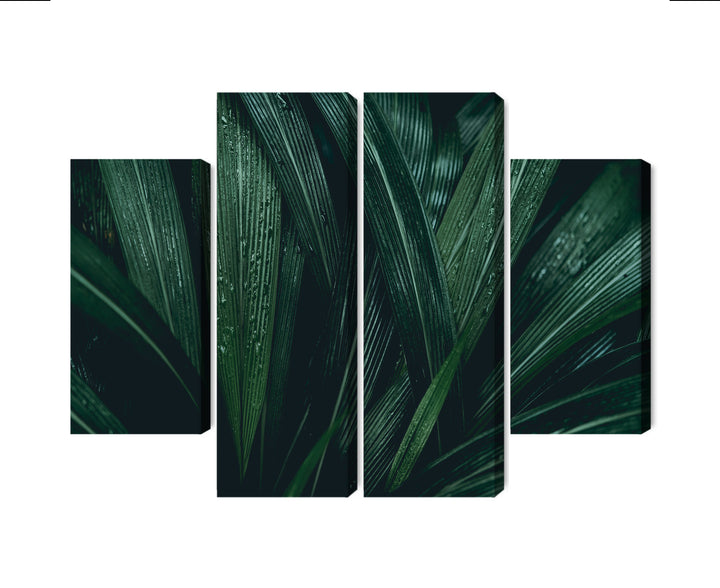 Canva - Dark green leaves on macroscale, N-3725
