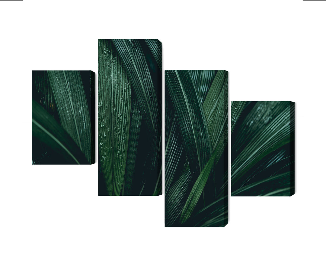Canva - Dark green leaves on macroscale, N-3726