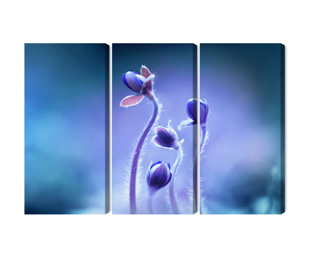 Canva - Fine flowers in macro scale, N-3738