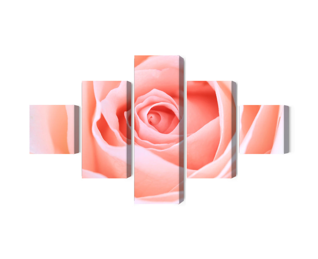 Canva - Rose in pastel shades, N-3817