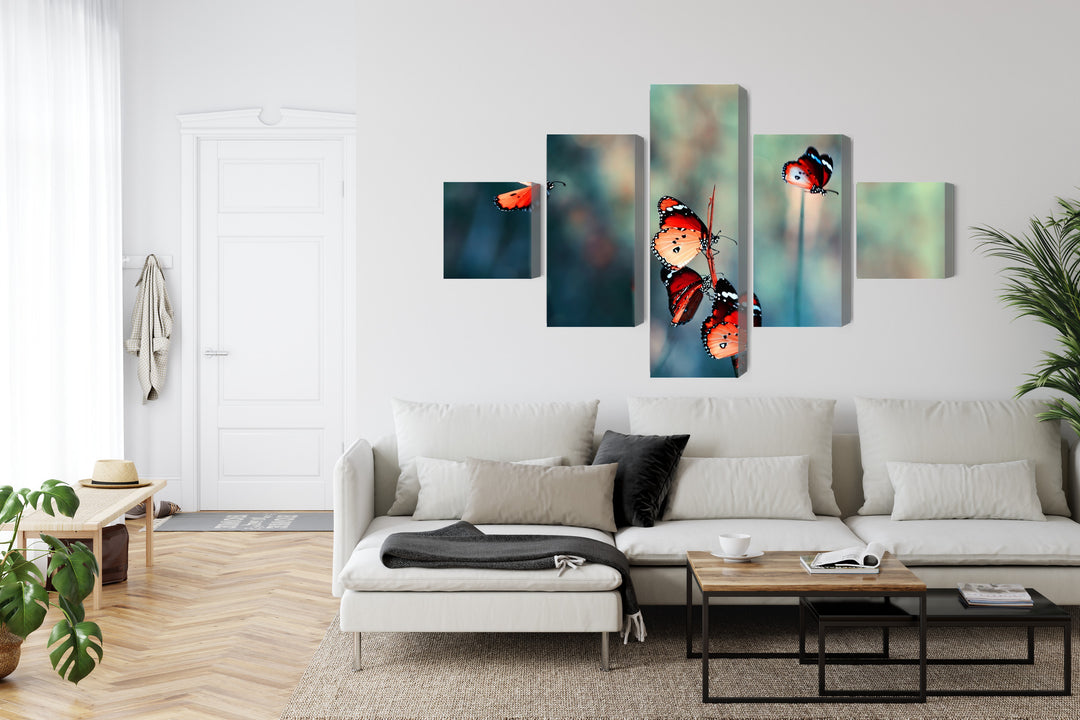 Canva - Macro-scale colour butterflies, N-3827