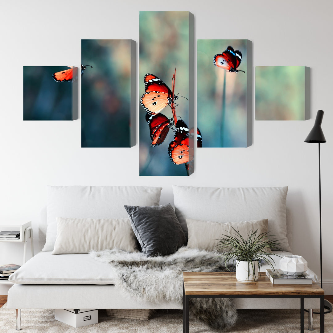 Canva - Macro-scale colour butterflies, N-3827