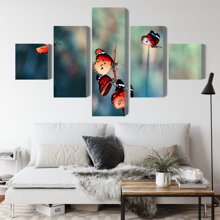 Canva - Macro-scale colour butterflies, N-3827