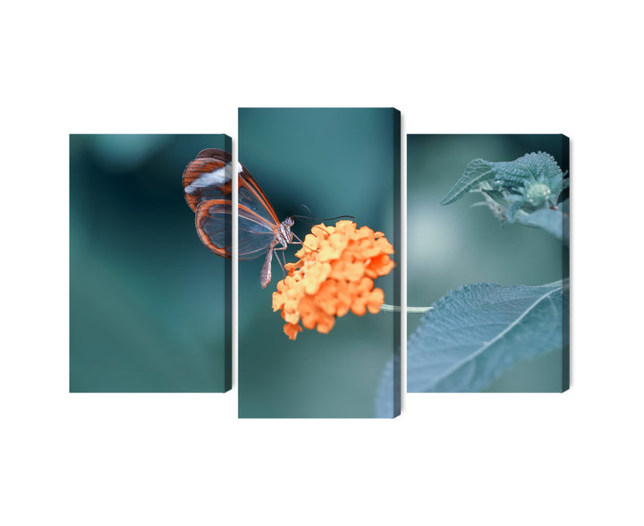 Canva - Butterfly in the Summer Garden, N-3829