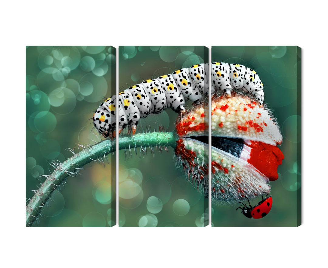 Канва - Гусеница и божья коровка на растении на макроснимке, N-3843