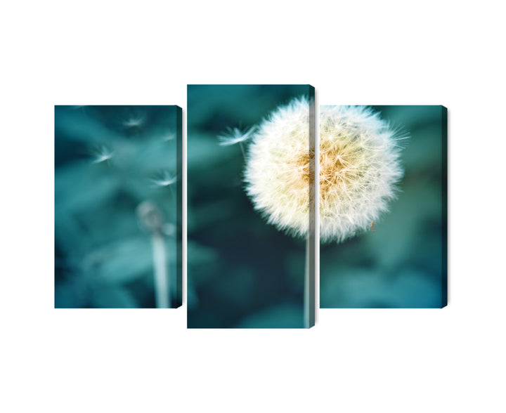 Canva - Dandelion, close to Plano, N-3854