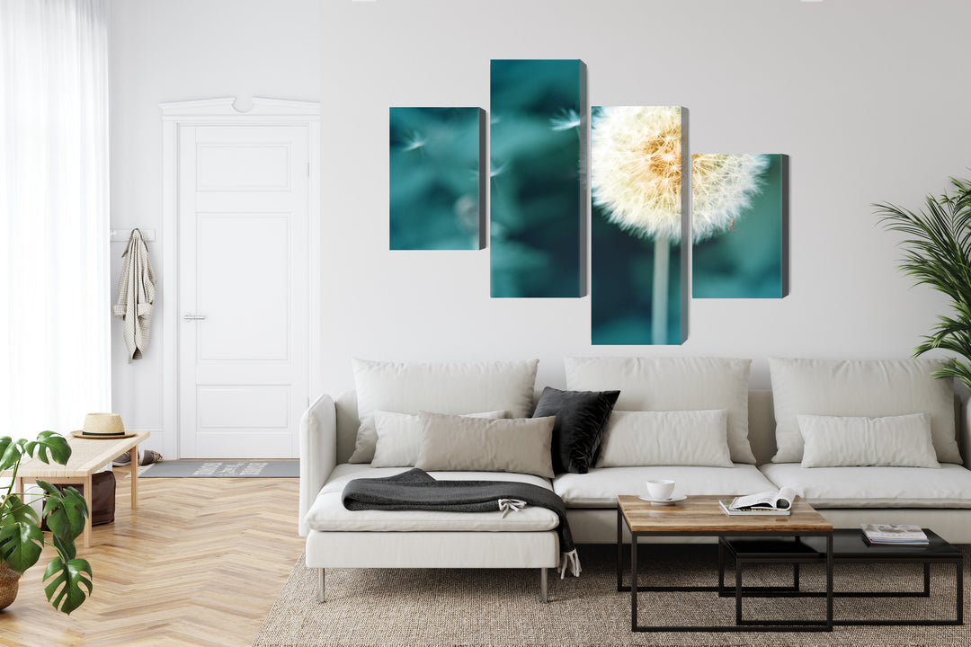 Canva - Dandelion, close up, N-3856