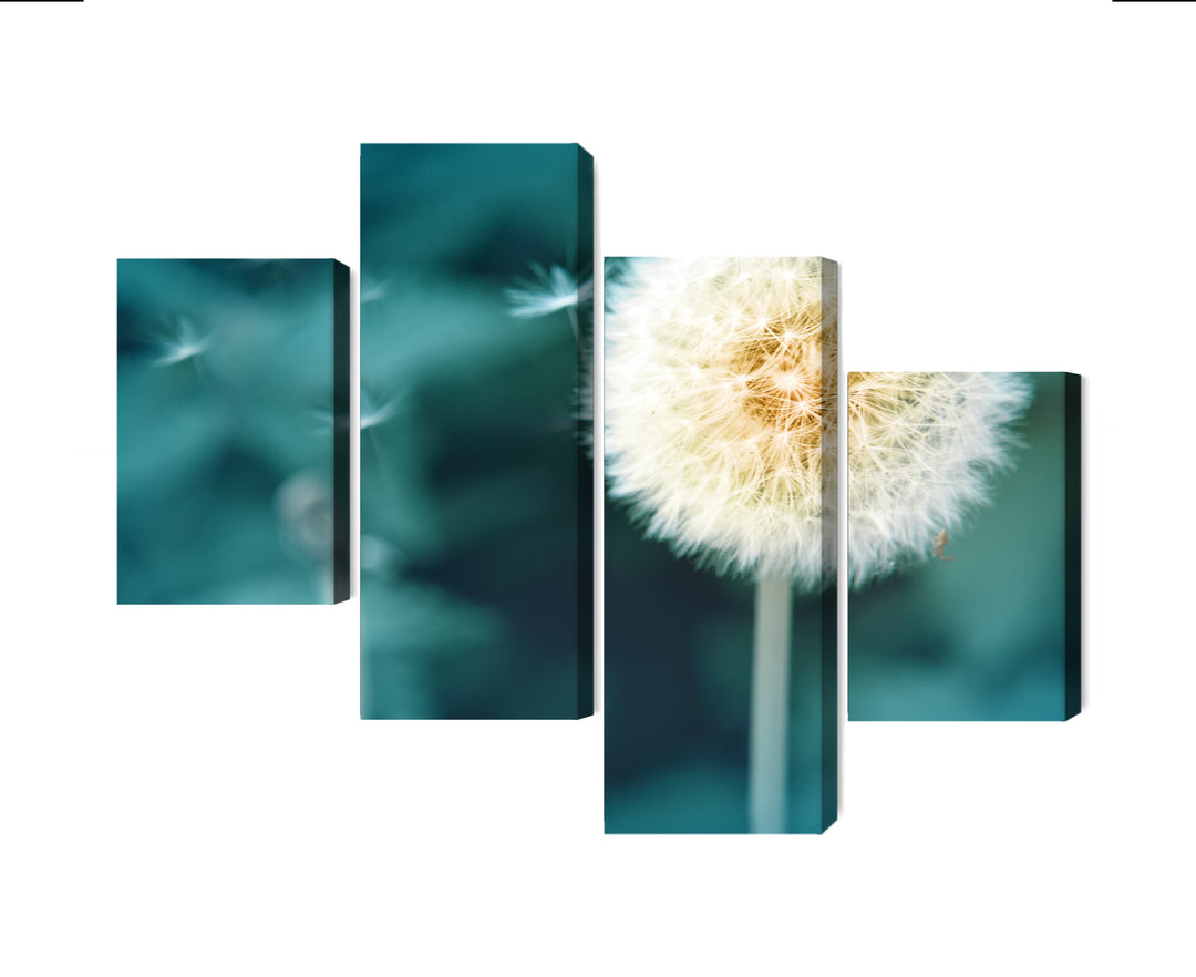 Canva - Dandelion, close up, N-3856