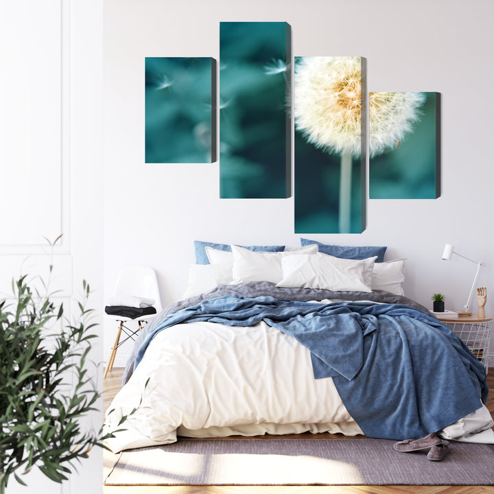 Canva - Dandelion, close up, N-3856