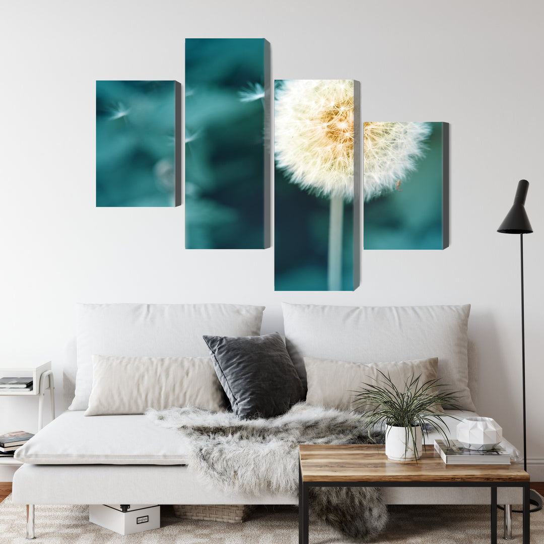 Canva - Dandelion, close up, N-3856