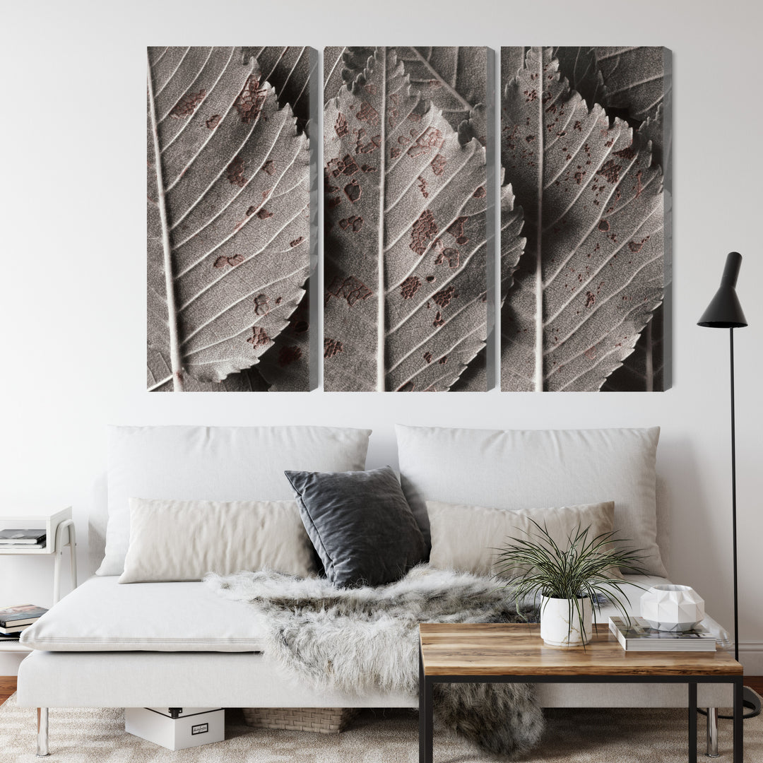 Canva - Macro scale grey leaves, N-3863