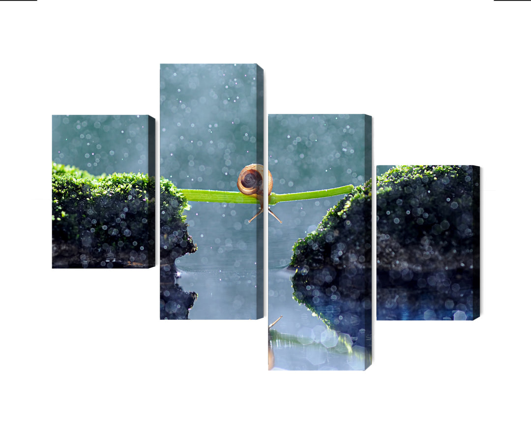 Paveikslai ant drobės - Sraigė lietuje, N-3887