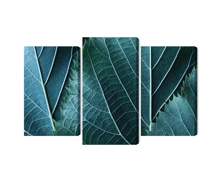 Канва - Макромасштабные страницы с 3D эффектом, N-3919