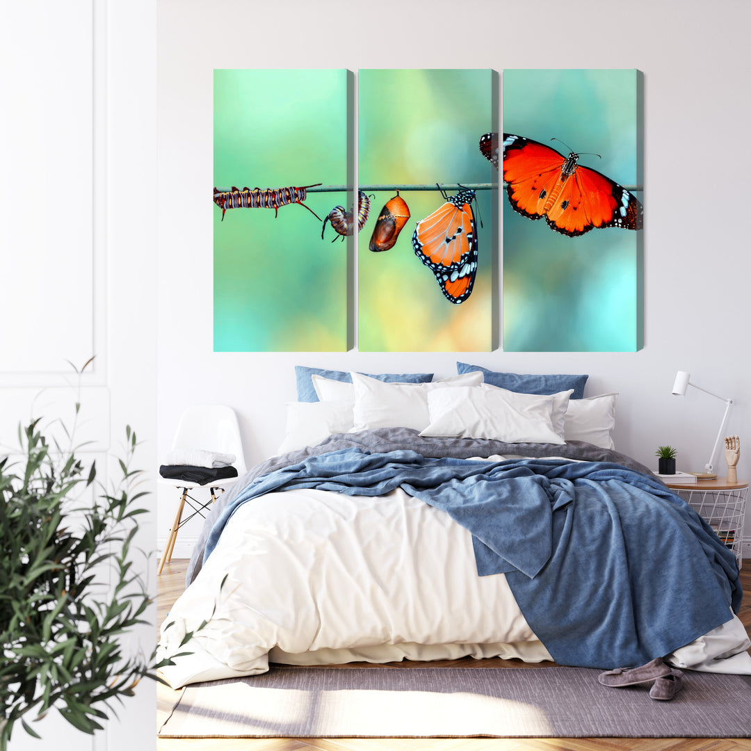 Canva - Colourful caterpillars and butterflies, macro, N-3958