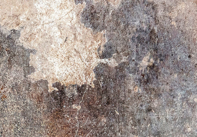Abstract Wall Murals in brown tones, 142539 G-ART