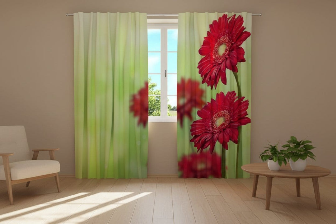 Dienas un nakts aizkari ar ziediem - Sarkanas gerberas uz maiga zaļa fona Tapetenshop.lv