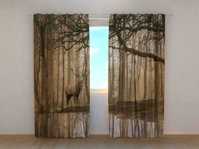 Curtains Beautiful deer in the forest Tapetenshop.lv