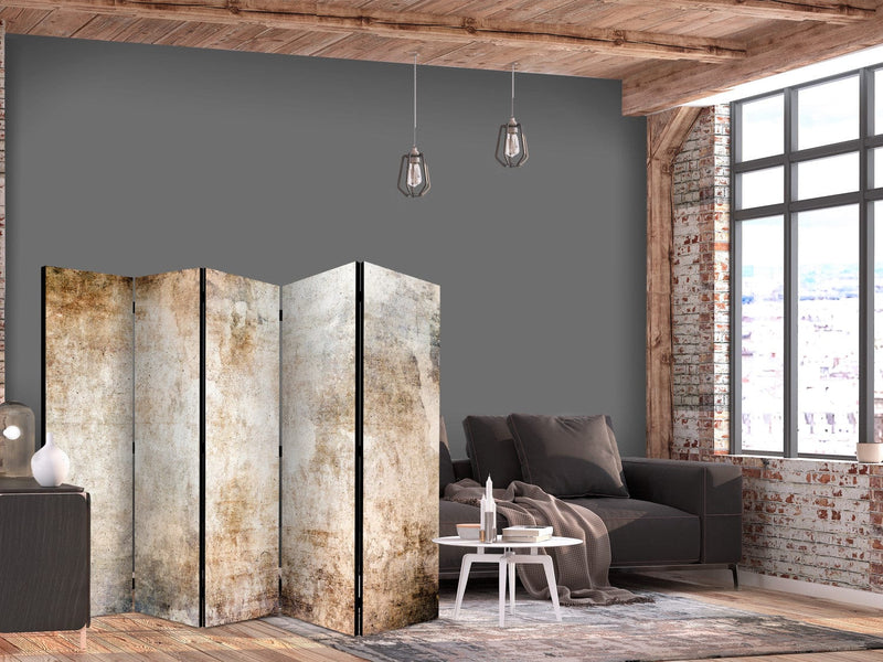 Room divider - Abstract texture in soft brown shades, 150961, 225x172 cm ART