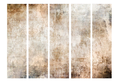 Širma, kambarių pertvara - Švelnių rudų atspalvių abstrakti tekstūra, 150961, 225x172 cm ART