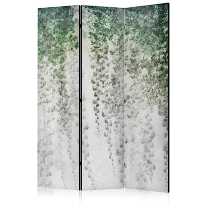 Room divider - Composition with dark ivy, 150977, 135x172 cm ART