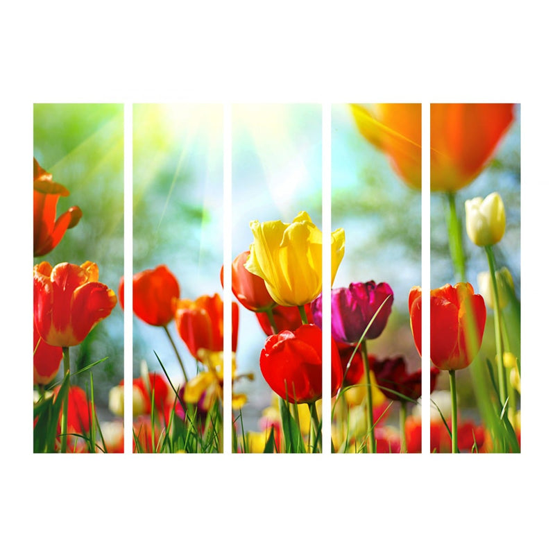 Aizslietnis Pavasara tulpes II 225x172 cm ART