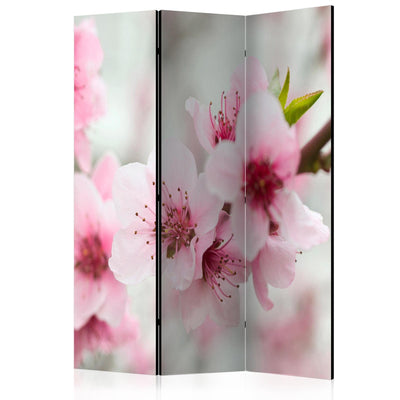 Room divider