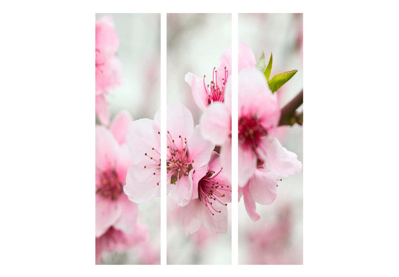 Aizslietnis Pavasaris, ziedošs koks - rozā ziedi 135x172 cm ART