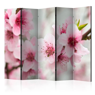 Aizslietnis Pavasaris, ziedošs koks - rozā ziedi 225x172 cm ART