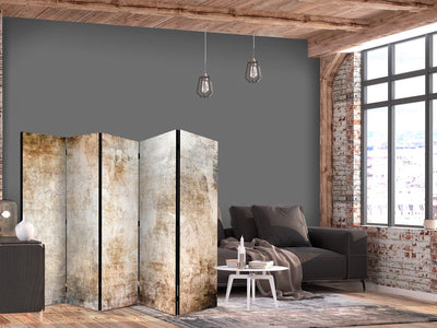 Room divider - Rust Texture - abstraction in pastel brown, 150961, 225x172 cm ART