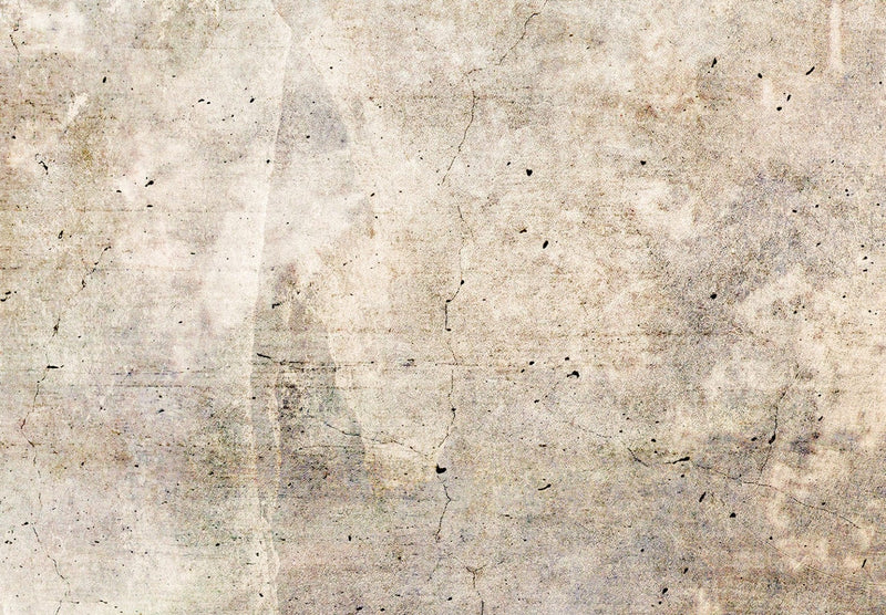 Aizslietnis - Rūsas tekstūra - abstrakcija pasteļbrūnos toņos, 150961, 225x172 cm ART