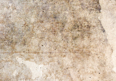 Širma, kambarių pertvara - Rūdžių tekstūra - pastelinės rudos spalvos abstrakcija, 150961, 225x172 cm ART