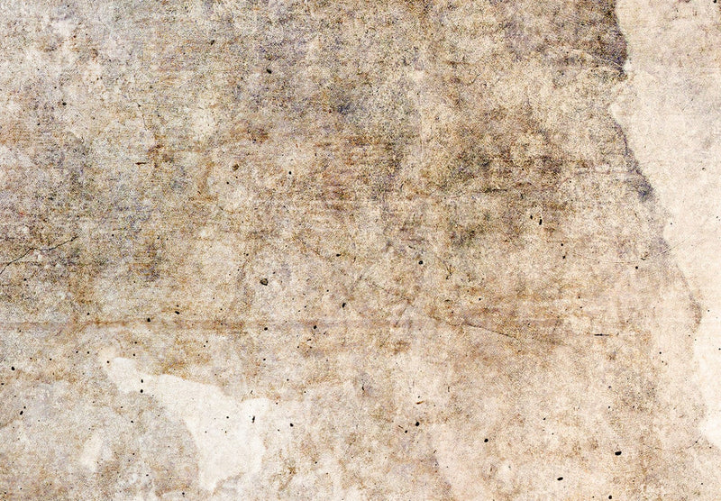 Tilanjakaja - Rust Texture - abstraktio pastellinruskea, 150961, 225x172 cm TAIDE