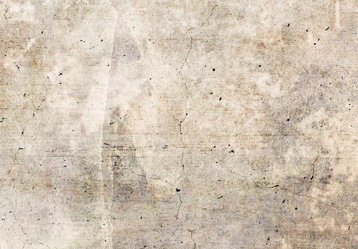 Aizslietnis, Rūsas tekstūra - abstrakcija bēšos toņos, 135x172 cm ART