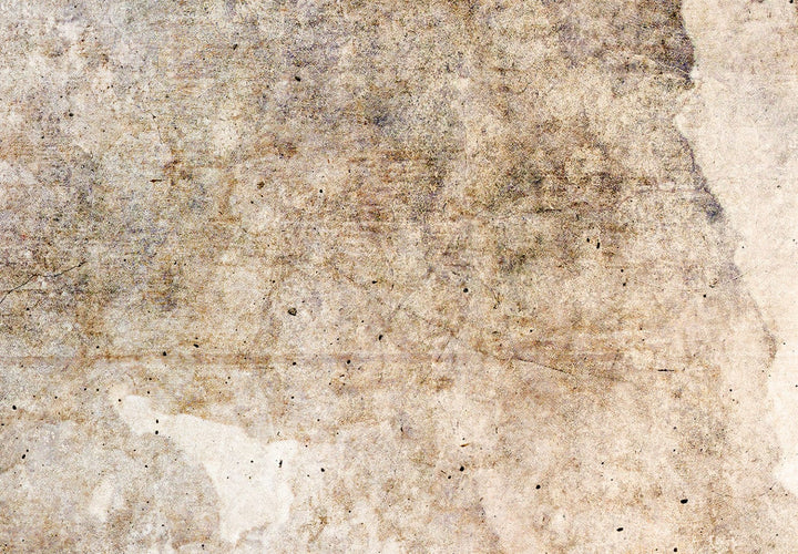 Aizslietnis, Rūsas tekstūra - abstrakcija bēšos toņos, 135x172 cm ART