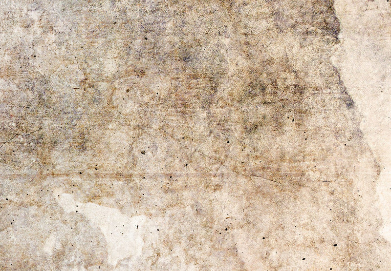 Ширма - Текстура ржавчины - абстракция в пастельно-коричневых тонах, 150962, 135x172 см АРТ