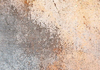 Vahesein, ruumi eraldaja - Rooste tekstuur seepia ja hall, 151410, 225x172 cm KUNST