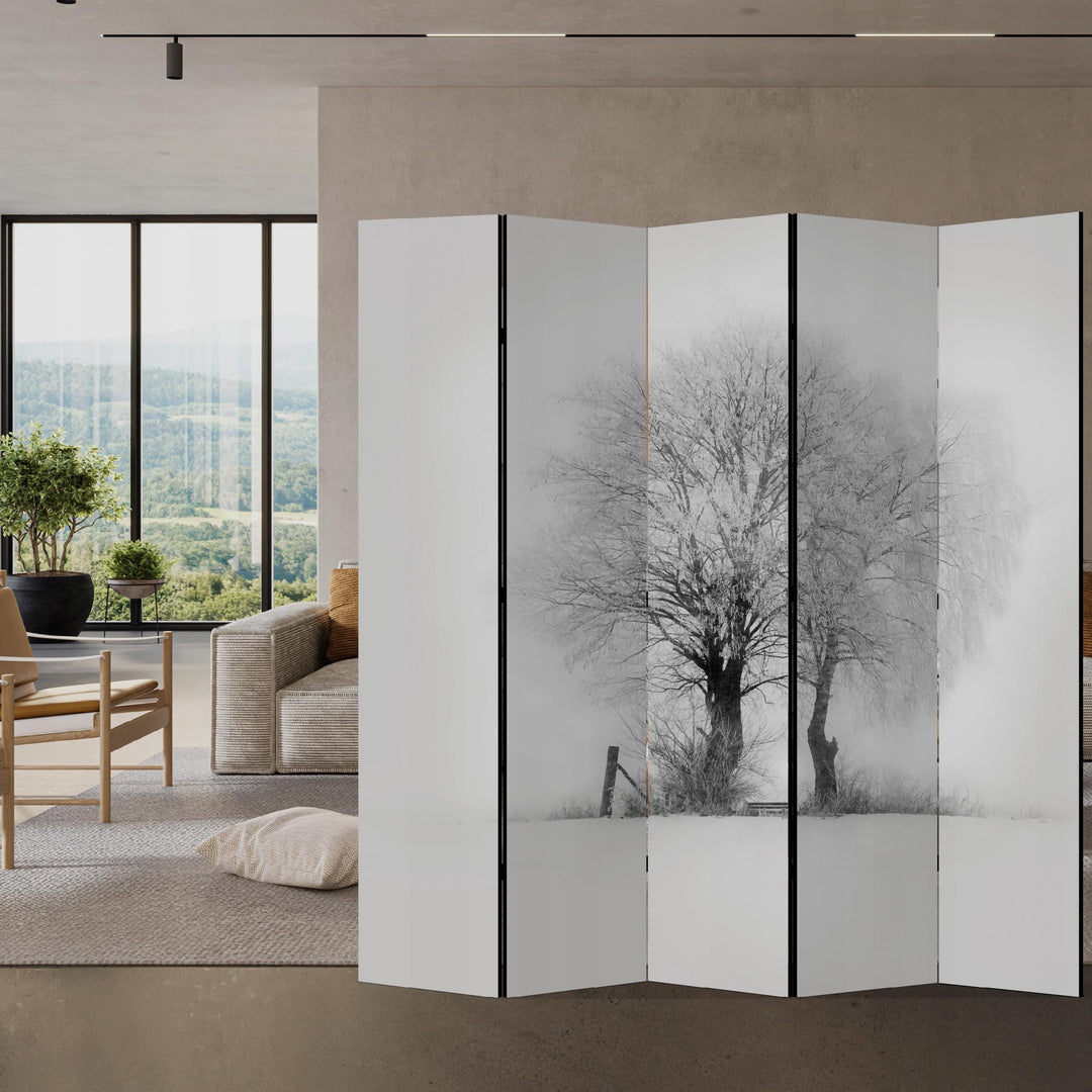 Dekoratīvais aizslietnis, vienpusējs istabas sadalītājs, 225x172, Ziemas rīta gaisma L-ART