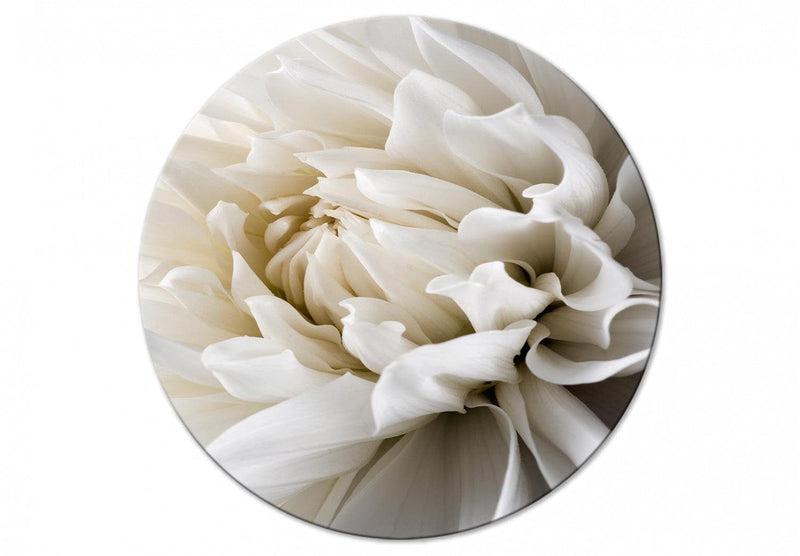Apaļa kanva (Deluxe) - Balts zieds siltā krēmkrāsas gaismā, 148737 G-ART
