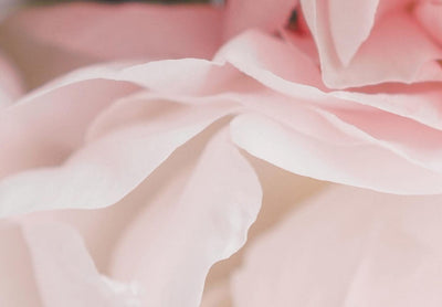 Apaļa kanva (Deluxe) - Gaiši rozā peonijas - ziedu pušķis pasteļkrāsāsās, 148687 G-ART