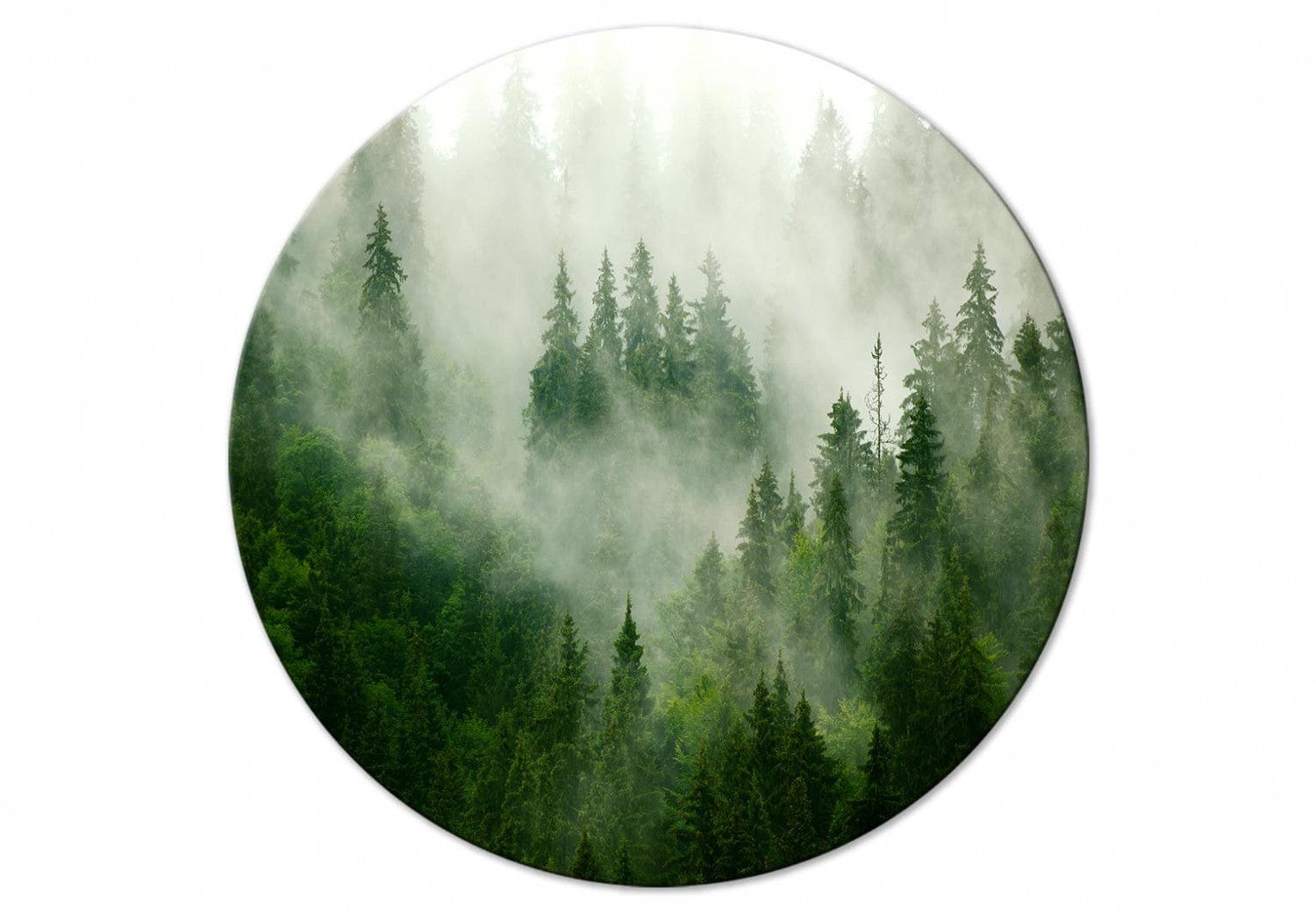 Apaļa glezna (Deluxe) - Miglains mežs - 148666 G-ART