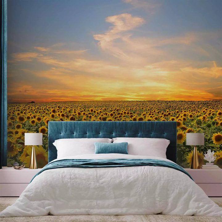 Valokuvatapetti - Aamuauringonkukat, 136314