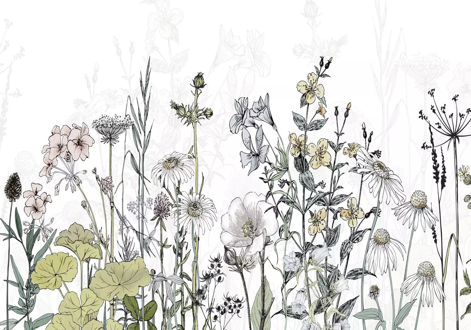 Fototapetes ar pļavas ziediem - Sapņu pļava - baltā, zaļā krāsā G-ART