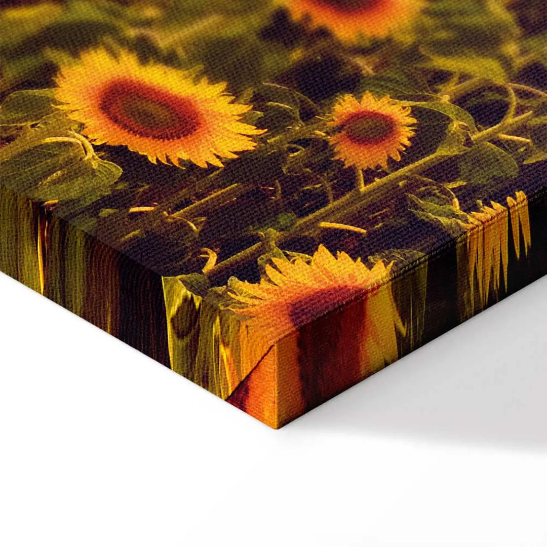 Kanva - Saulespuķes saulrietā, 124359,  (x 3)