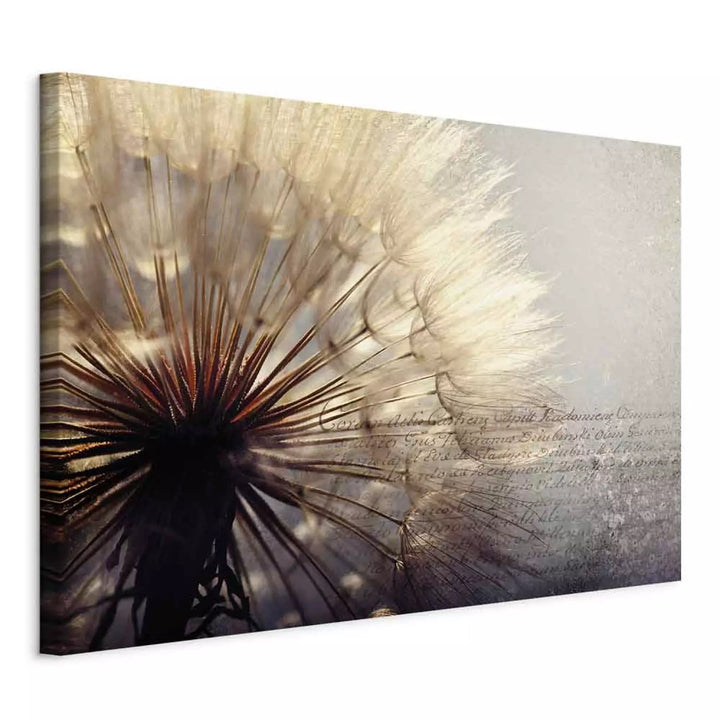 Canvas-taulut Kesän hellyys