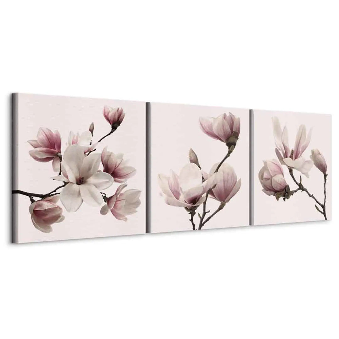 Kanva ar magnoliju uz rozā fona, (x 3), 122780