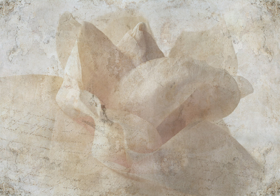 Fototapeet - beež taustaga lillede ja kirjaga, 148600